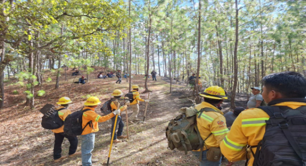 Liquida Coesfo incendio forestal en San Lorenzo Texmelucan
