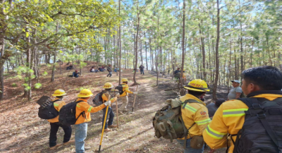 Liquida Coesfo incendio forestal en San Lorenzo Texmelucan