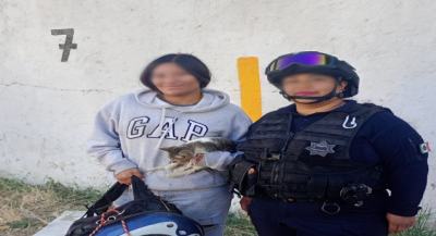 Municipio revisa actuación policial tras video de detención con mascotas