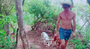 Tres perros propiedad de un extranjero atacan a niño de 9 años en la Costa de Oaxaca; fueron sacrificados