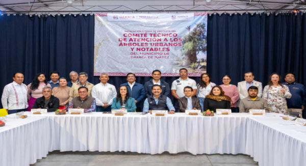 Fortalece Gobierno del Estado atención y protección de árboles notables de la ciudad capital