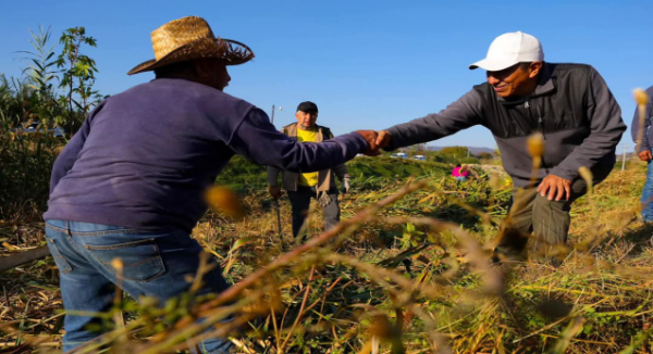 Da seguimiento Gobernador de Oaxaca a la limpieza del Río Atoyac con Mega Tequio