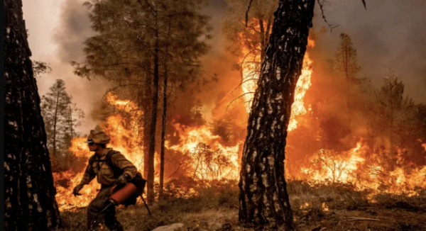 Termino de la Declaratoria de Emergencia en Oaxaca por incendio forestal en los Chimalapas