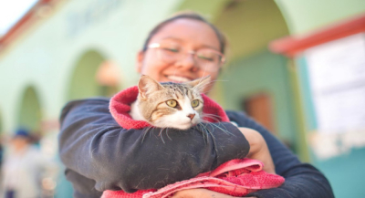 Arranca SSO Campaña Estatal de Vacunación Antirrábica Canina y Felina 2026