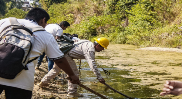 Refuerza SSO estrategias contra el paludismo