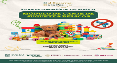 Impulsar jornada de desarme voluntario en Oaxaca de Juárez