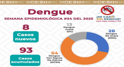Registra SSO 47% de positividad de larvas de mosquitos en viviendas de 53 municipios