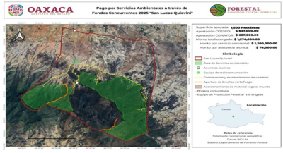 Preserva Gobierno Estatal patrimonio natural en San Lucas Quiaviní