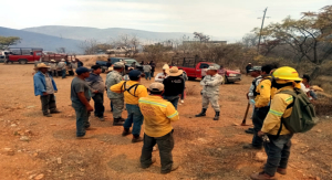 Controlan incendio forestal en la Mixteca