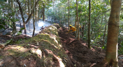 Avanzan 142 combatientes con trabajos terrestres y aéreos en incendio de los Chimalapas: Coesfo