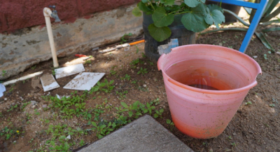 Exhorta SSO a la población para cuidado, almacenamiento y manejo del agua