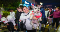 Realiza Gobierno de Oaxaca primera Caminata de Perritos para fortalecer la cohesión social