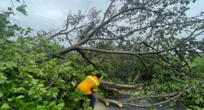 Atienden brigadas de Coesfo afectaciones en la Sierra Sur y Costa provocadas por el huracán Erick