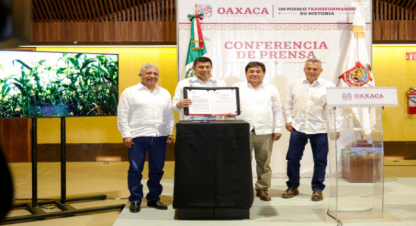 Oaxaca se une a la lucha contra el maíz transgénico e impulsa conservación del nativo