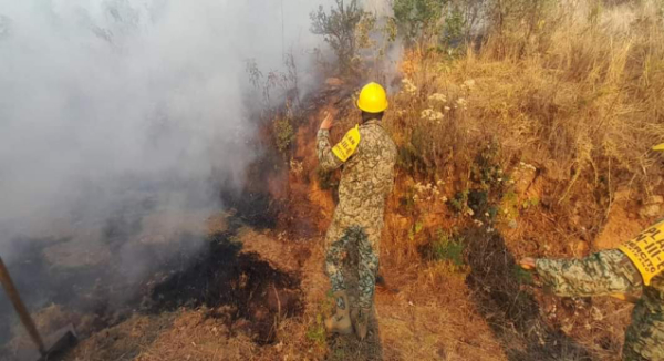 Logran controlar el 90 por ciento del incendio en la Sierra Norte de Oaxaca
