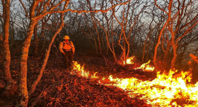 Mantienen Coesfo, instituciones federales y pobladores, combate ininterrumpido a incendio en Tomaltepec