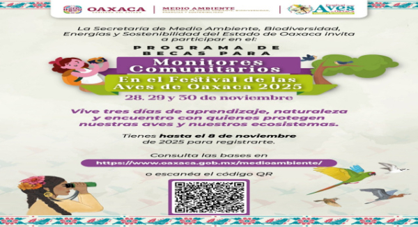 Convoca Secretaría de Medio Ambiente a monitores comunitarios de aviturismo a participar en Programa de Becas