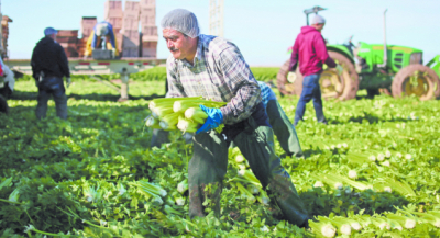 Paisanos en EU envían a México 16.7% de su ingreso mensual
