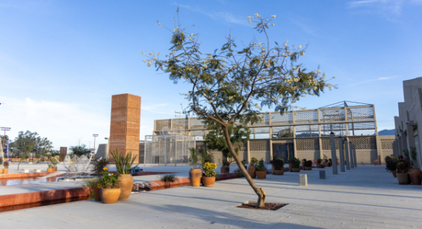 Este miércoles inicia el Festival Navideño de la Primavera Oaxaqueña