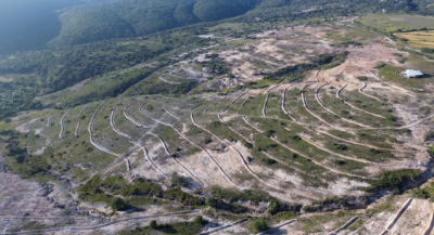 Realiza Primavera Oaxaqueña Mega Tequio de Reforestación en Coixtlahuaca