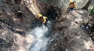 Oaxaca: Atiende Coesfo incendio forestal en Santiago Xiacuí