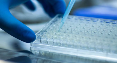 Convoca CLB Oaxaca a familias a participar en la Primera Brigada de Entrevistas y Toma de Muestras Genéticas