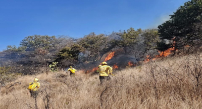 Atiende Coesfo cuatro incendios forestales en Oaxaca