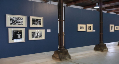 Lu’ Biaani: Francisco Toledo y la fotografía se presenta en el CaSa, tras recorrer museos del país