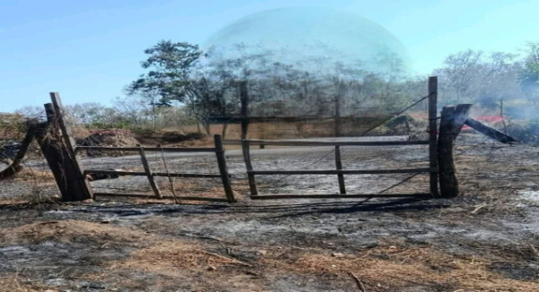 Incendio urbano deja saldo de dos personas fallecidas en San Miguel del Puerto: Protección Civil