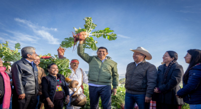 Reconoce Gobernador Salomón Jara fortaleza de la tradición de la Noche de Rábanos, cosechan más 14 toneladas del tubérculo