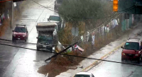 Lluvia en la capital oaxaqueña deja árboles caídos y cortes de energía eléctrica