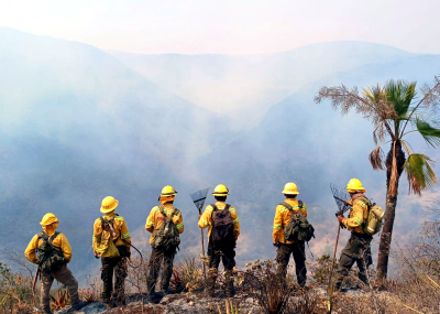 Reporta Coesfo 10 incendios forestales activos en la entidad