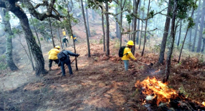 Oaxaca: atiende Coesfo incendio en la Sierra Sur