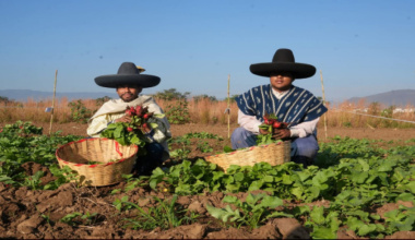 Invitan a disfrutar la Edición 128 de la Noche de Rábanos 2025, en el marco de una Ciudad Limpia y Segura
