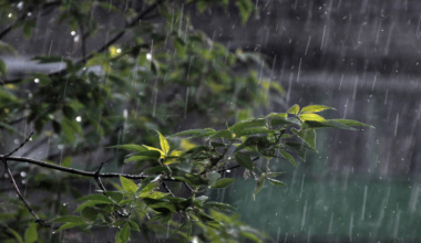 Prevén lluvias de intensidad variable para este domingo en Oaxaca