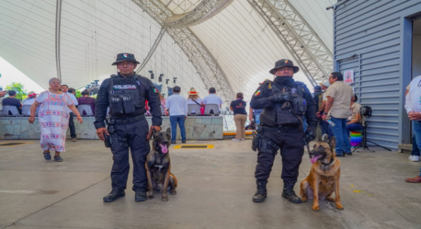 Reporta Gabinete de Seguridad saldo blanco tras presentaciones del Primer Lunes del Cerro 2026