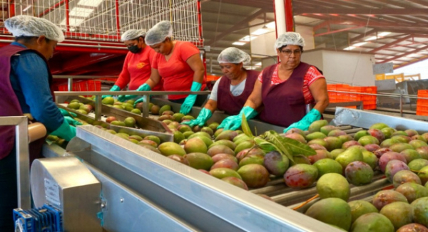 Paz y gobernabilidad en Oaxaca abren puerta al mercado internacional a través de Concamin