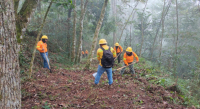 Realiza Coesfo apertura de brechas cortafuego en San Miguel Chimalapa