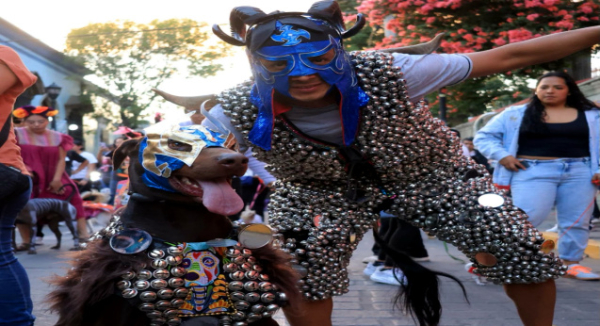 Lomitos de Oaxaca de Juárez participaron en caminata y concurso de disfraces por Día de Muertos