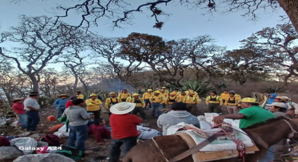 Combaten de manera crucial reactivación de incendio en Tepelmeme Villa de Morelos