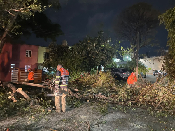 Afectaciones por lluvias generadas por Onda Tropical 2 son atendidas por Gobierno Estatal