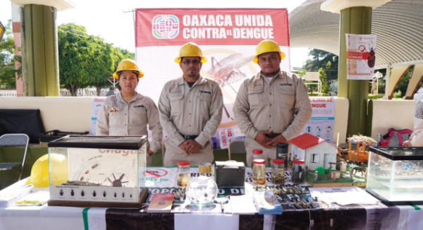 Mosquito del dengue activo en las mañanas y al anochecer, evita picaduras