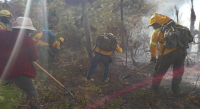 Liquida Coesfo incendio forestal en Santiago Tilantongo