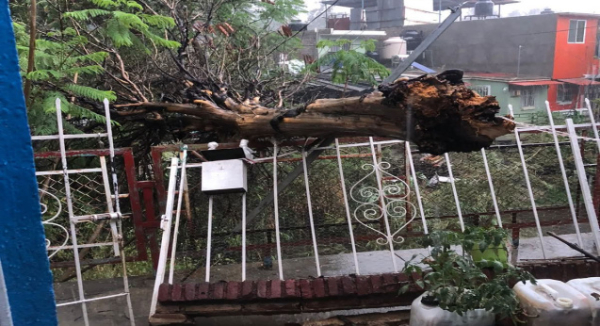 Protección Civil atiende reportes tras lluvia registrada en Oaxaca de Juárez