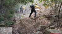 Oaxaca: notifica Coesfo control total en incendio de Santiago Lachiguiri