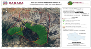 Preserva Gobierno Estatal patrimonio natural en San Lucas Quiaviní