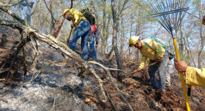 Reporta Coesfo control de incendio forestal en San Martín de los Cansecos