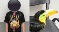 Detienen a hombre por posesión de ave en peligro de extinción