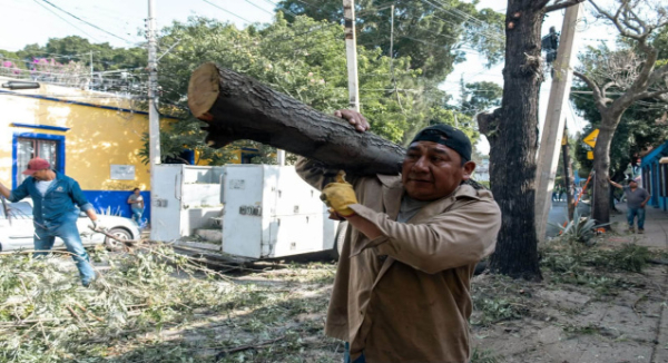Municipio de Oaxaca de Juárez realiza poda preventiva en Manuel Sabino Crespo