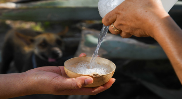Oaxaca, en el puntero de la producción nacional de mezcal